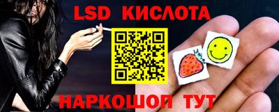 спайс Гай