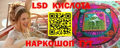 спайс Гай