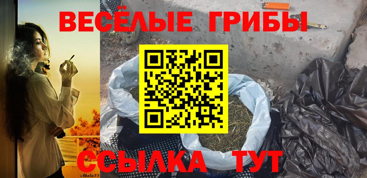 Галлюциногенные грибы Psilocybe  Вход с VPN  наркошоп  Псилоцибиновые грибы MAGIC MUSHROOMS  Луховицы 