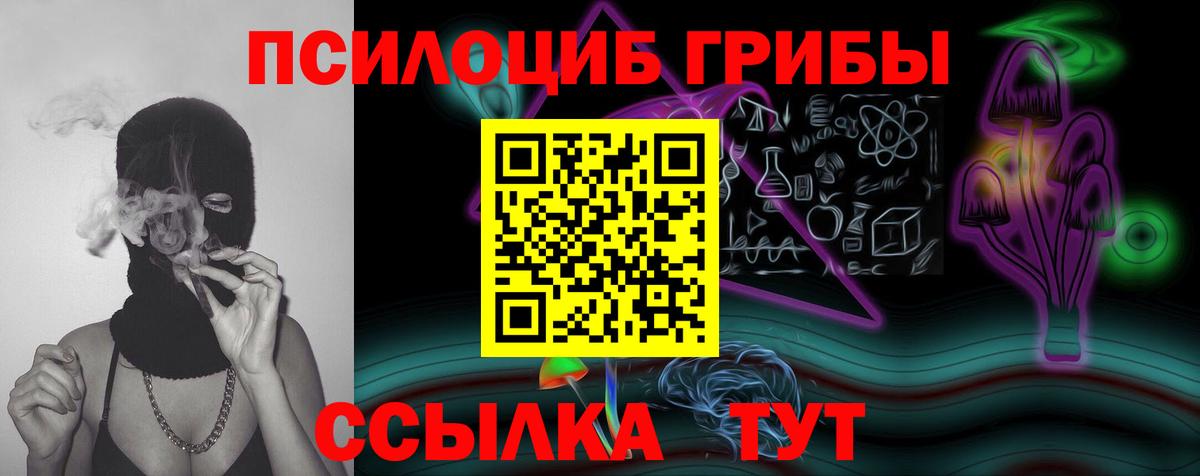 Галлюциногенные грибы Psilocybine cubensis Луховицы